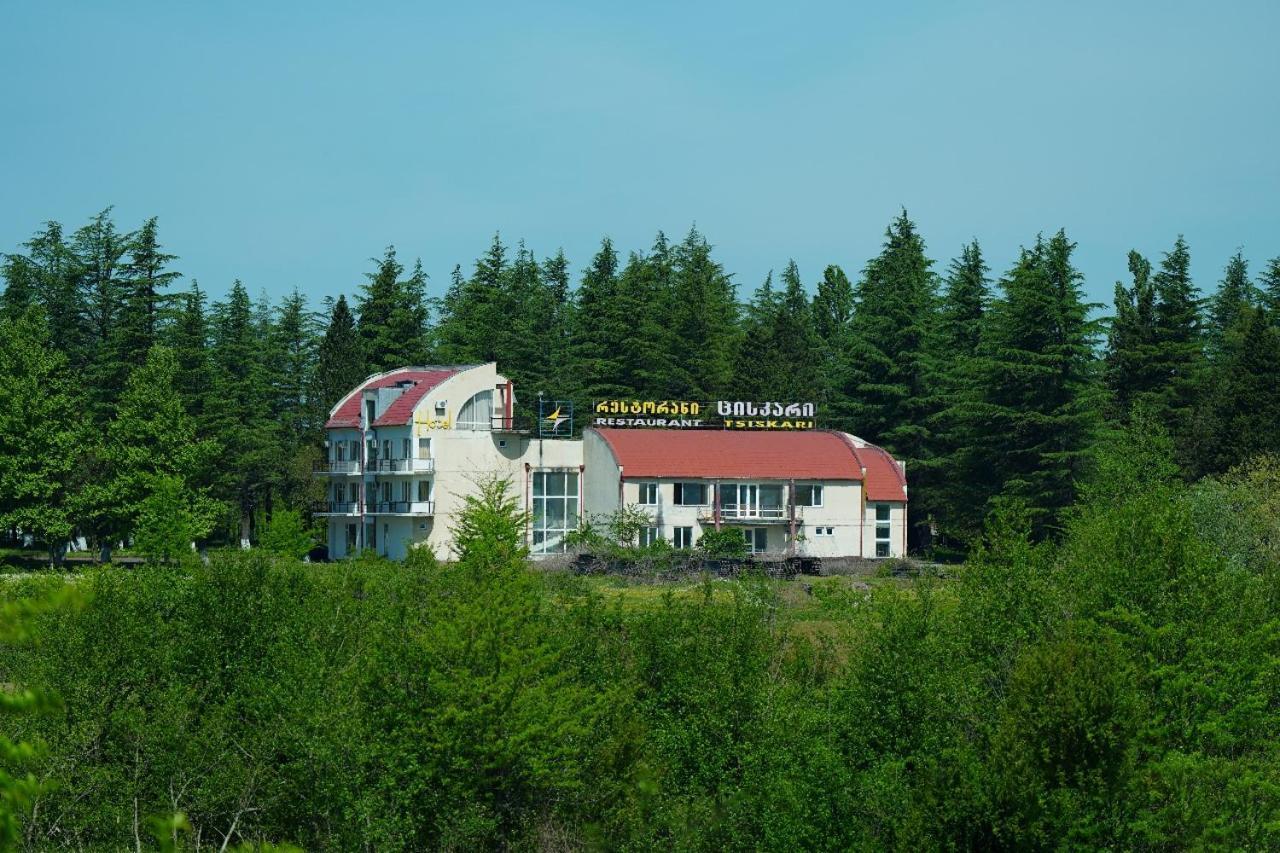 Hotel Tsiskari Ianet'i Exterior photo
